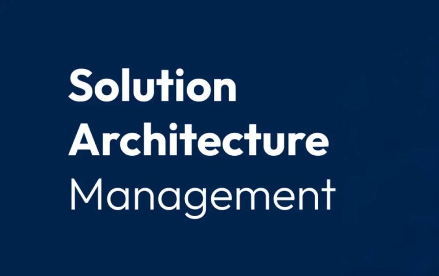 definition solution-architecture-management